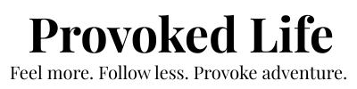 provoked life logo+tag